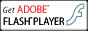 ADOBE FLASH PLAYER